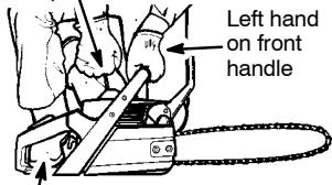 POULAN 2750 - CHAIN BRAKE - 1