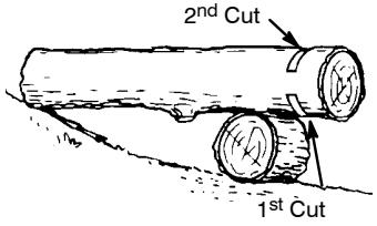 POULAN 2750 - BUCKING USING A LOG OR SUPPORT STAND - 1