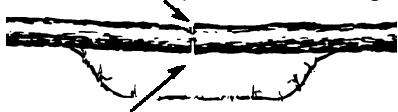 POULAN 2900 - TYPES OF CUTTING USED FOR BUCKING - 6
