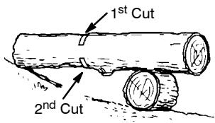 POULAN 2990 - BUCKING USING A LOG OR SUPPORT STAND - 2