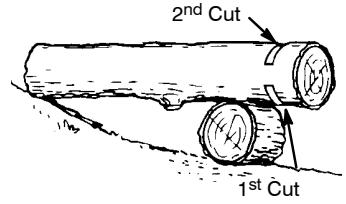 POULAN 2990 - BUCKING USING A LOG OR SUPPORT STAND - 1