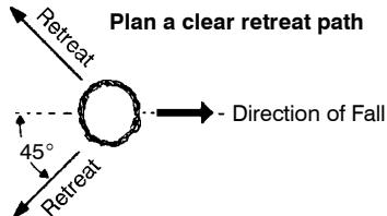 POULAN 3050 - TREE FELLING TECHNIQUES - 1