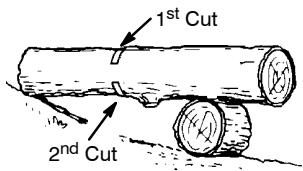 POULAN 3050 - BUCKING USING A LOG OR SUPPORT STAND - 2