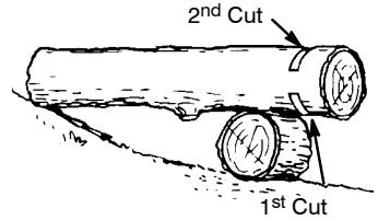 POULAN 3050 - BUCKING USING A LOG OR SUPPORT STAND - 1