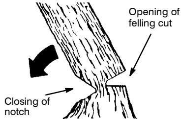 POULAN 3050 - NOTCH CUT AND FELLING THE TREE - 2