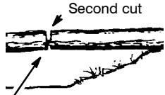 POULAN 3050 - TYPES OF CUTTING USED FOR BUCKING - 5
