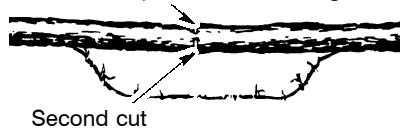 POULAN 3450 - TYPES OF CUTTING USED FOR BUCKING - 4