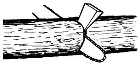POULAN 3450 - TYPES OF CUTTING USED FOR BUCKING - 1