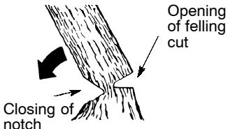 POULAN 3450 - NOTCH CUT AND FELLING THE TREE - 2