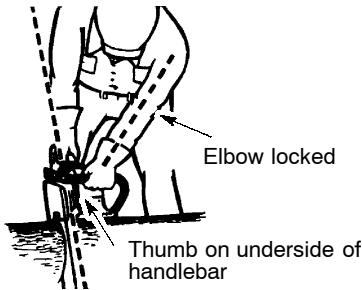 POULAN 3450 - MAINTAIN CONTROL - 1