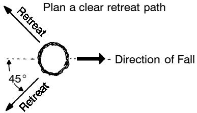 POULAN 3450 - TREE FELLING TECHNIQUES - 1