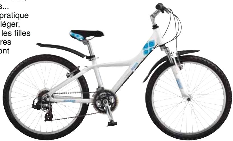 GIANT TAFFY 225 FS - 1