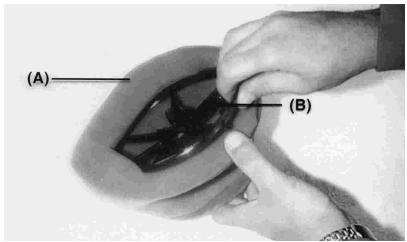 GAS GAS EC - Attention - 1