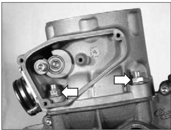 GAS GAS EC 200 - 03-04 DISMOUNTING ENGINE - 5