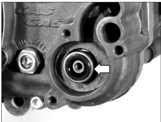 GAS GAS EC 200 - Dismantling the water pump - 3