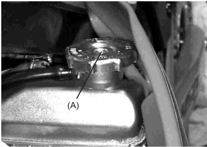 GAS GAS EC FSE 450 - Coolant Level - 1