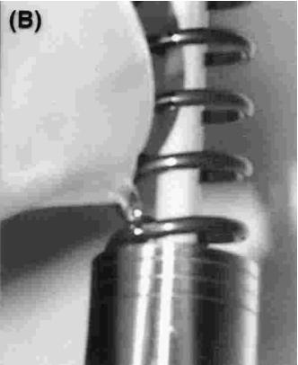 GAS GAS EC FSE 450 - Stand Oil Level - 2