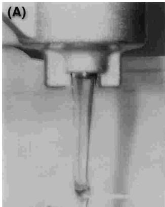 GAS GAS EC FSE 450 - Stand Oil Level - 1