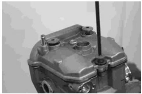 GAS GAS FSE 400 - Dismounting the engine - 13