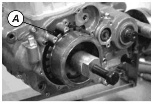 GAS GAS FSE 400 - Dismounting the engine - 12