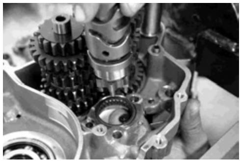 GAS GAS FSE 400 - Dismounting the engine - 81