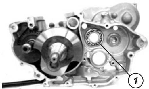 GAS GAS FSE 400 - BEARINGS - 1