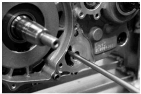 GAS GAS FSE 400 - Dismounting the engine - 72