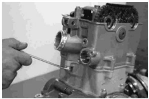 GAS GAS FSE 400 - Dismounting the engine - 23