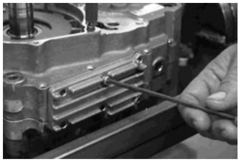 GAS GAS FSE 400 - Dismounting the engine - 73