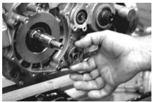 GAS GAS FSE 400 - Dismounting the engine - 18