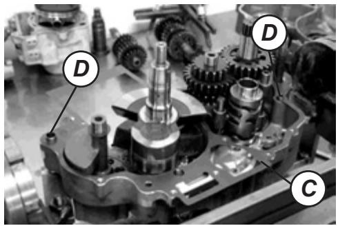 GAS GAS FSE 400 - Dismounting the engine - 86