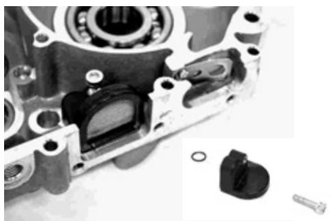 GAS GAS FSE 400 - Dismounting the engine - 87