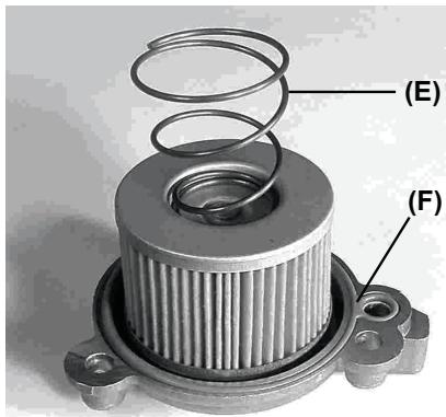 GAS GAS FSE 450 SM - WARNING - 1
