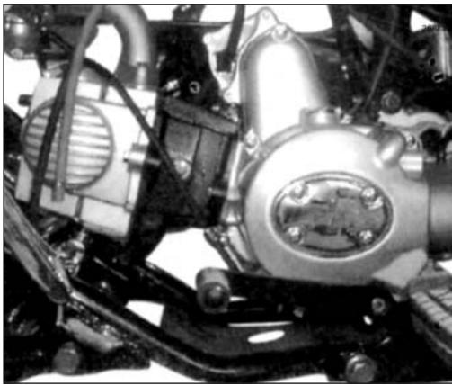 GAS GAS K2 QUAD 110 - Gear shift pedal - 1