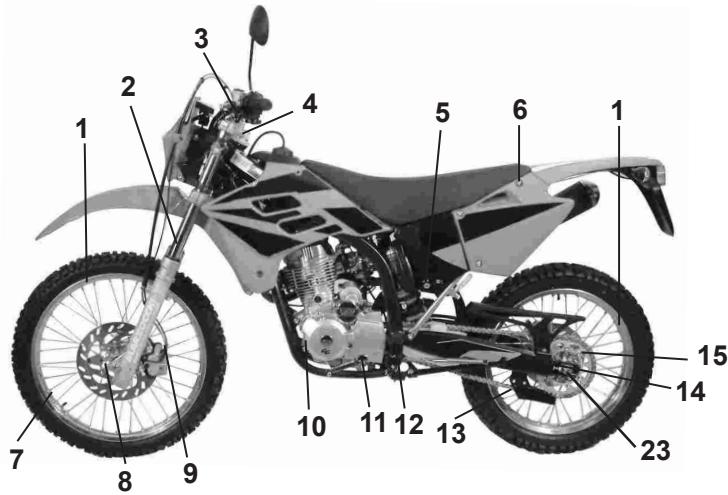 GAS GAS PAMPERA 125 - TIGHTENING NUTS AND BOLTS - 1