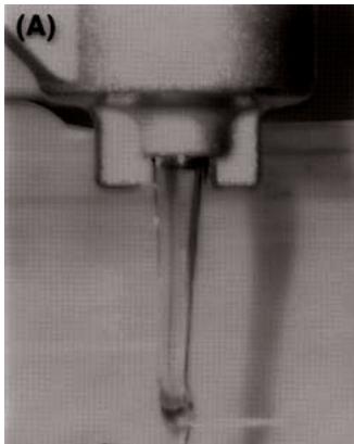GAS GAS PAMPERA 400 - Marzocchi: 200 mm - 1