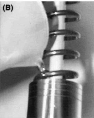 GAS GAS PAMPERA 450 - Standard level of oil - 2