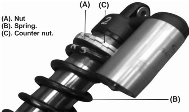 GAS GAS PAMPERA 450 - Suspension spring - 1