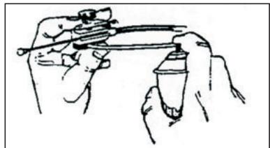 GAS GAS PAMPERA 450 - General lubrication - 4