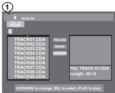 MUSTEK DVD-R580 - Deleting All Music Tracks from Play List - 2
