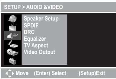 MUSTEK DVD-R580 - Under AUDIO &VIDEO Setup - 1