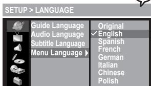 MUSTEK DVD-R580 - Menu Language Setting - 5