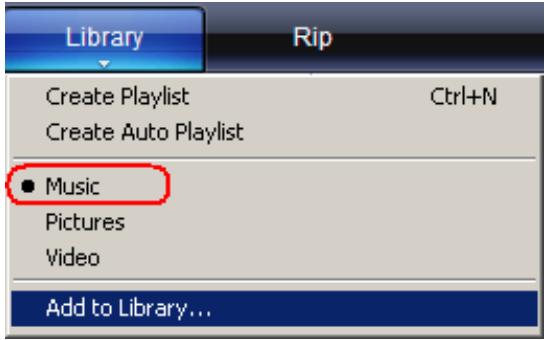 SANDISK SANSA VIEW - Adding Music Files to Library... - 2