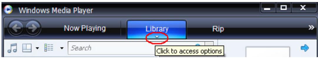 SANDISK SANSA VIEW - Adding Music Files to Library... - 1