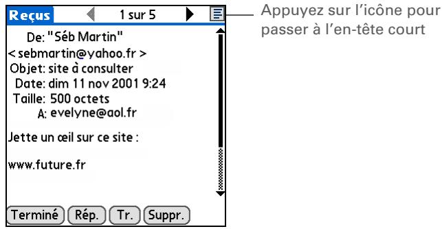 PALM LIFEDRIVE - Modification de l'en-tête des e-mails - 2