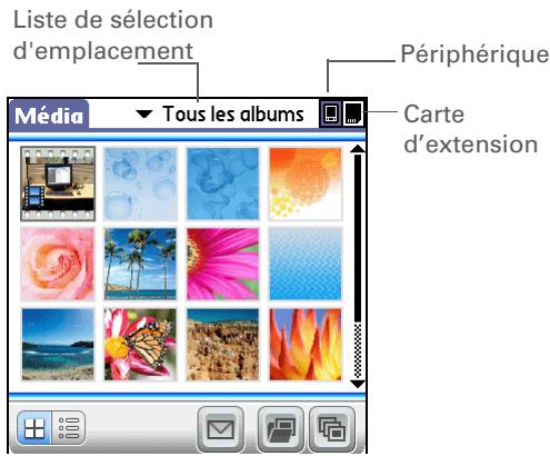 PALM LIFEDRIVE - Le saviez-vous ? - 2