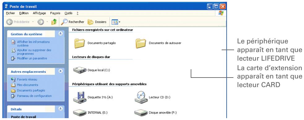 PALM LIFEDRIVE - Conseil - 1