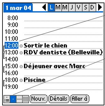PALM LIFEDRIVE - Gestion des codes couleur - 3