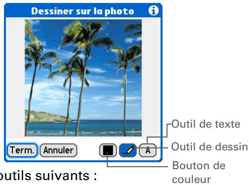 PALM LIFEDRIVE - Dessin sur une photo - 1