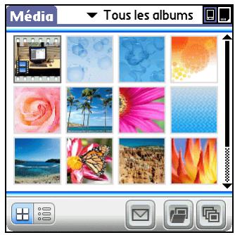 PALM LIFEDRIVE - Organisation des photos ou des vidéos dans des albums - 2